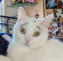 1702251995029.png