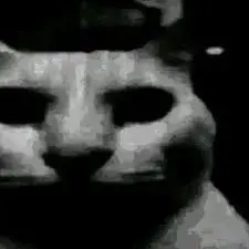 1708364130737.png