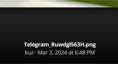 1709518175641.png
