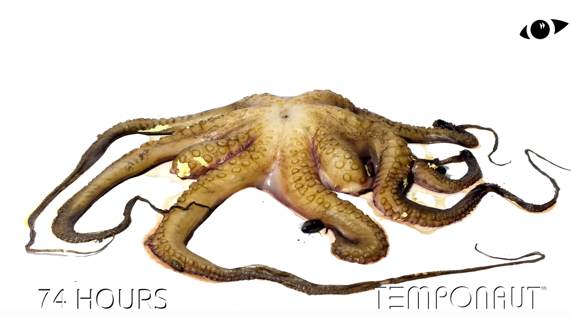 1709873490331.png