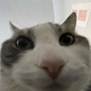 1710211966022.png