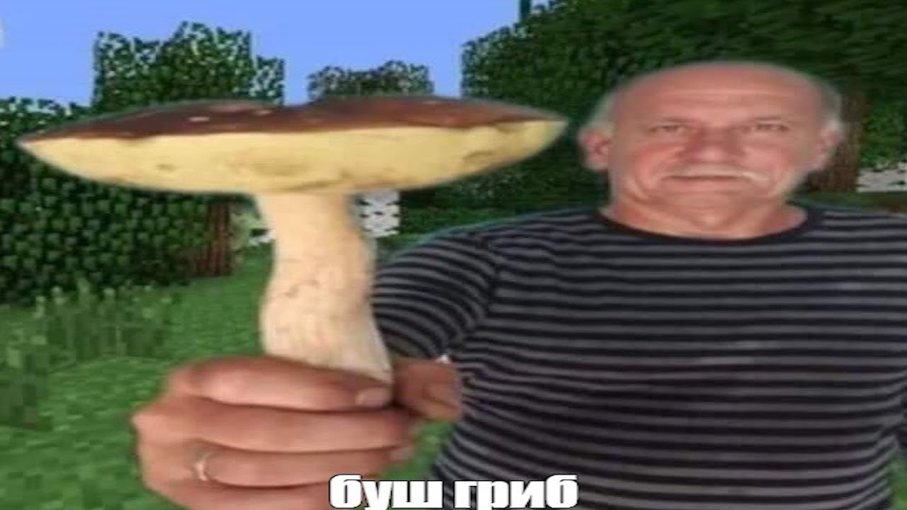 1719913045786.jpeg