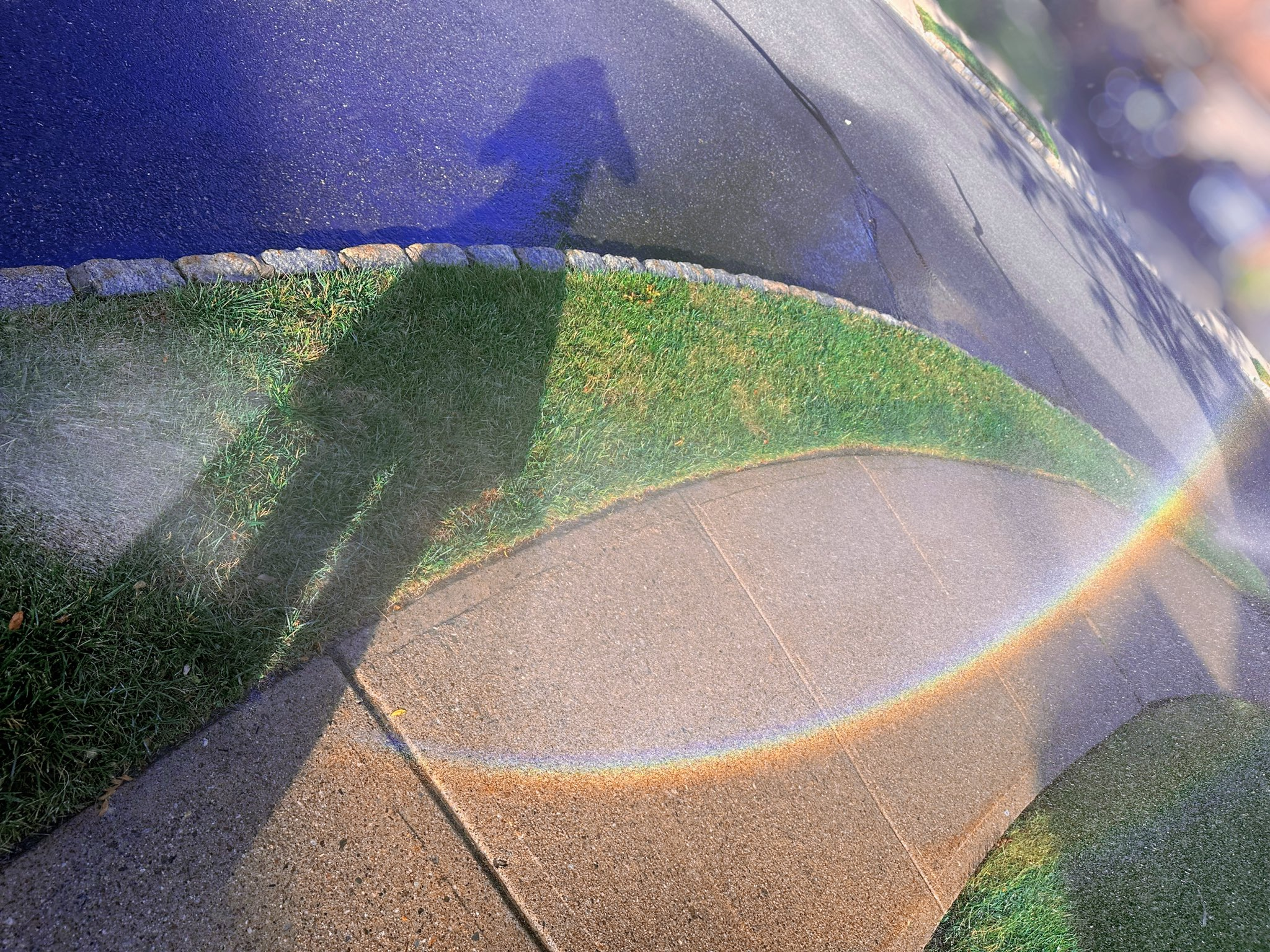 1720061798299.png