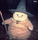 1730054457919974.gif