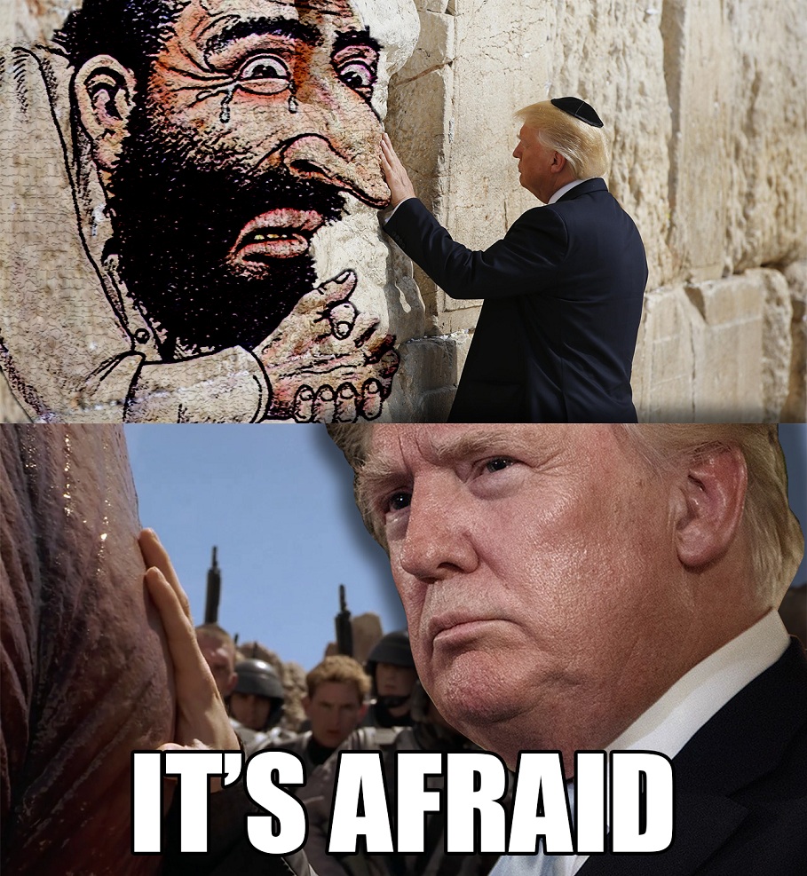 1731346514379.jpeg