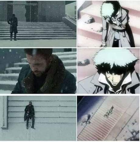 1731979521766.jpeg