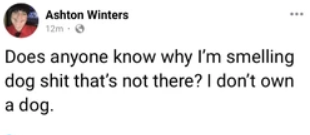 1735405543413.png