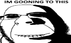 1735512502656.png
