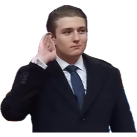1737576607506.png
