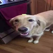 1738052043138.png