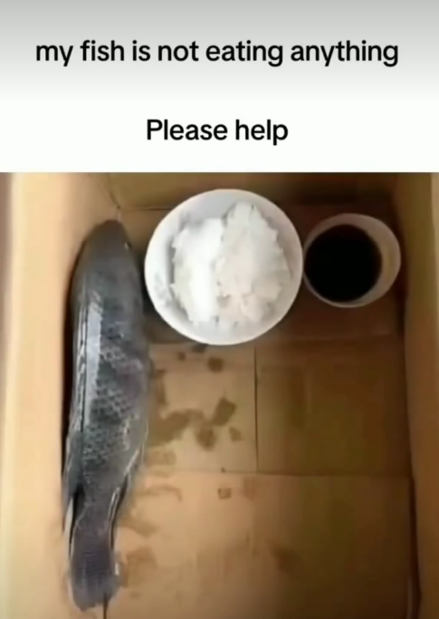 1743453910105.png