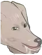 1746023324143.webp