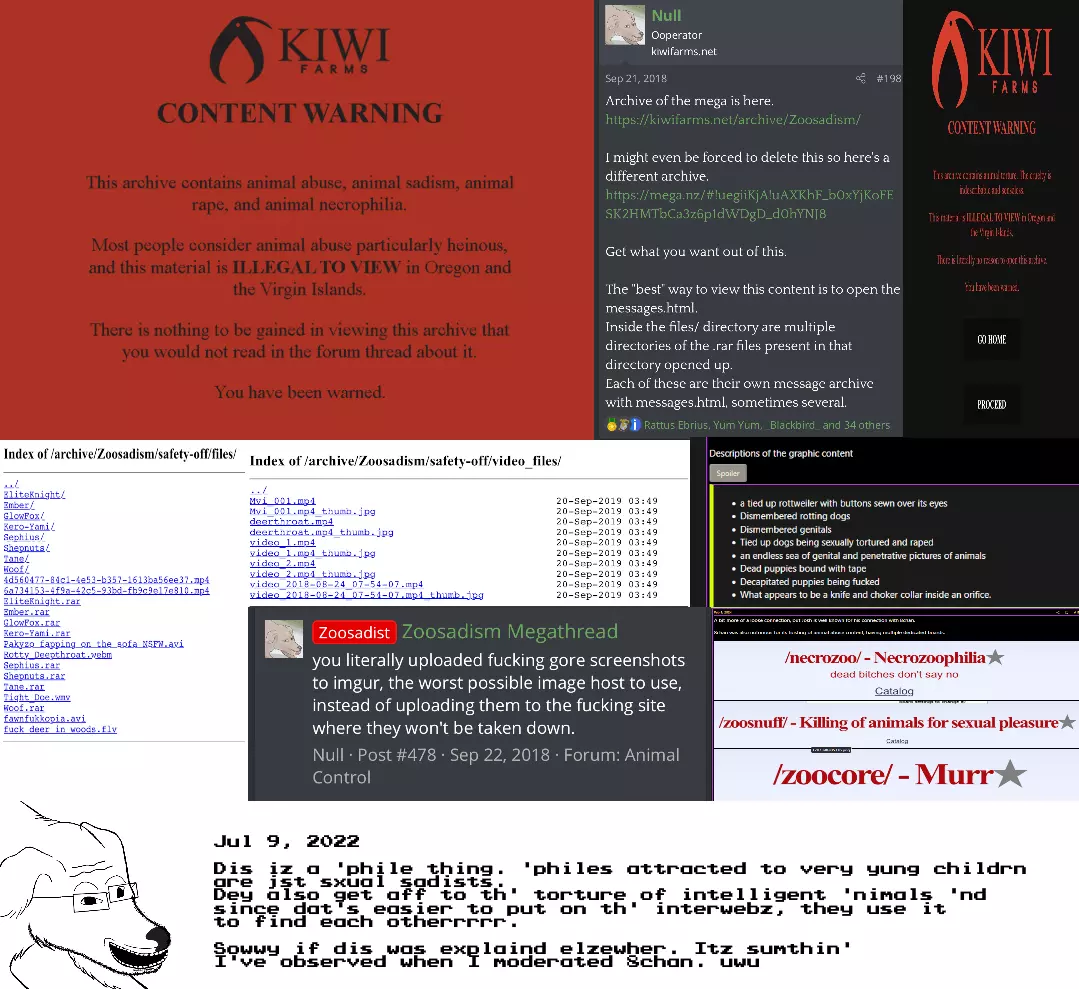 1746584357023.webp