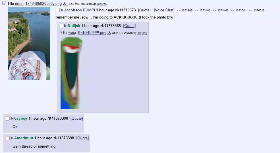 1748532257379.webp