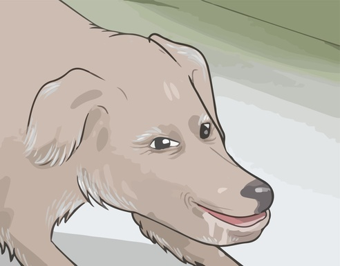 1781564736315.png