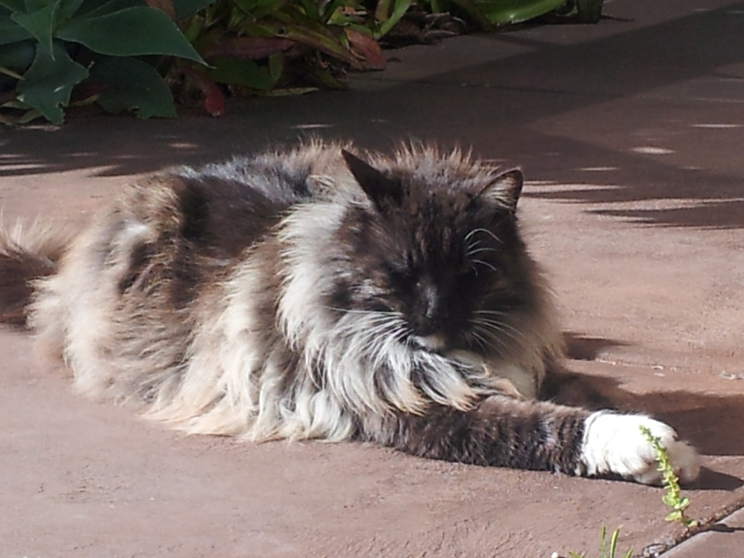 20130925_152943.jpg