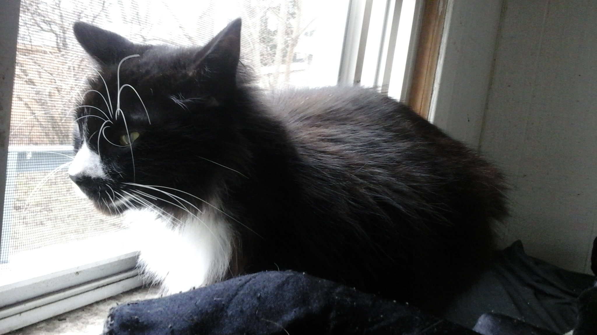 20160310_131515.jpg