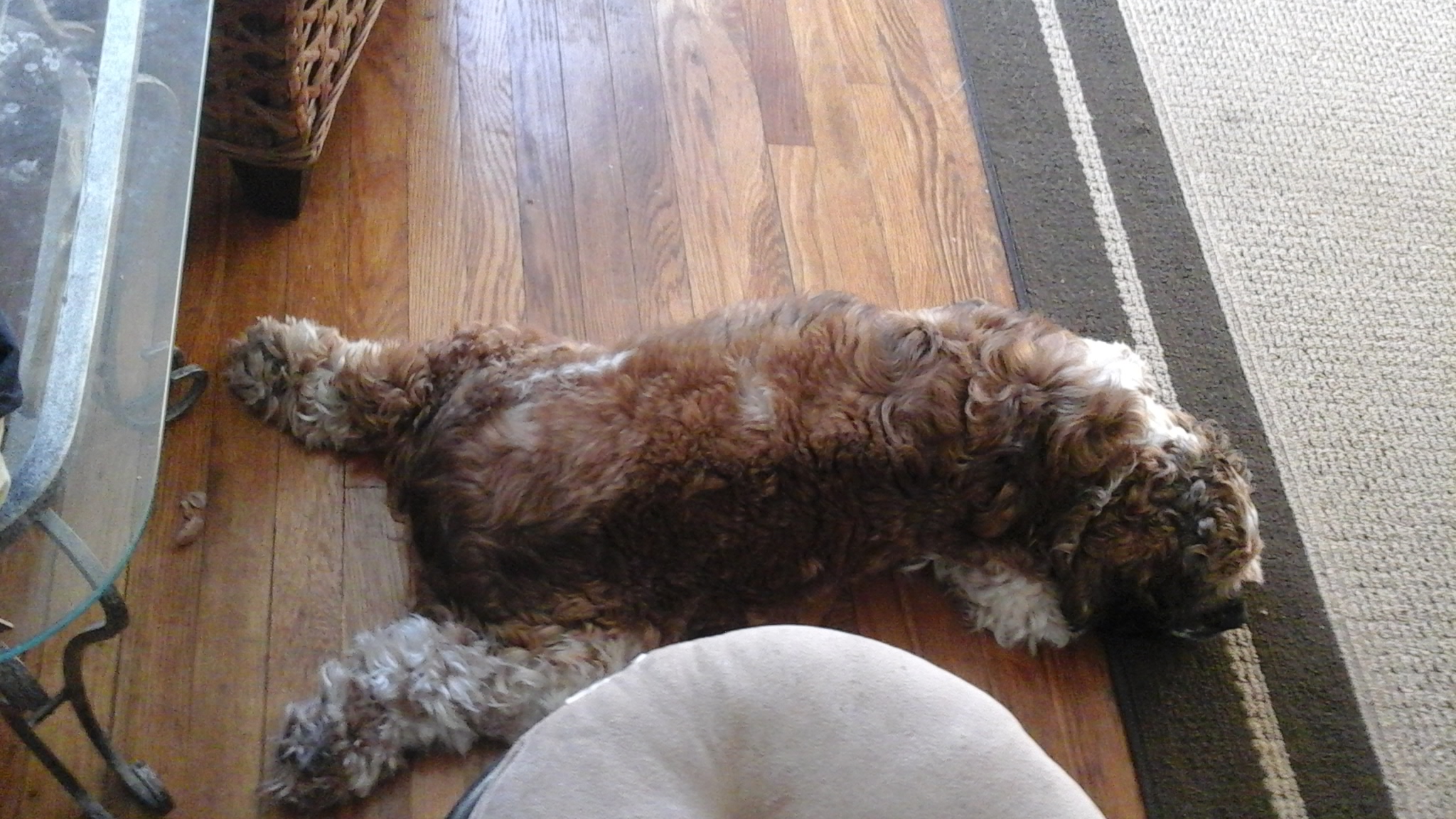 20160325_181412.jpg