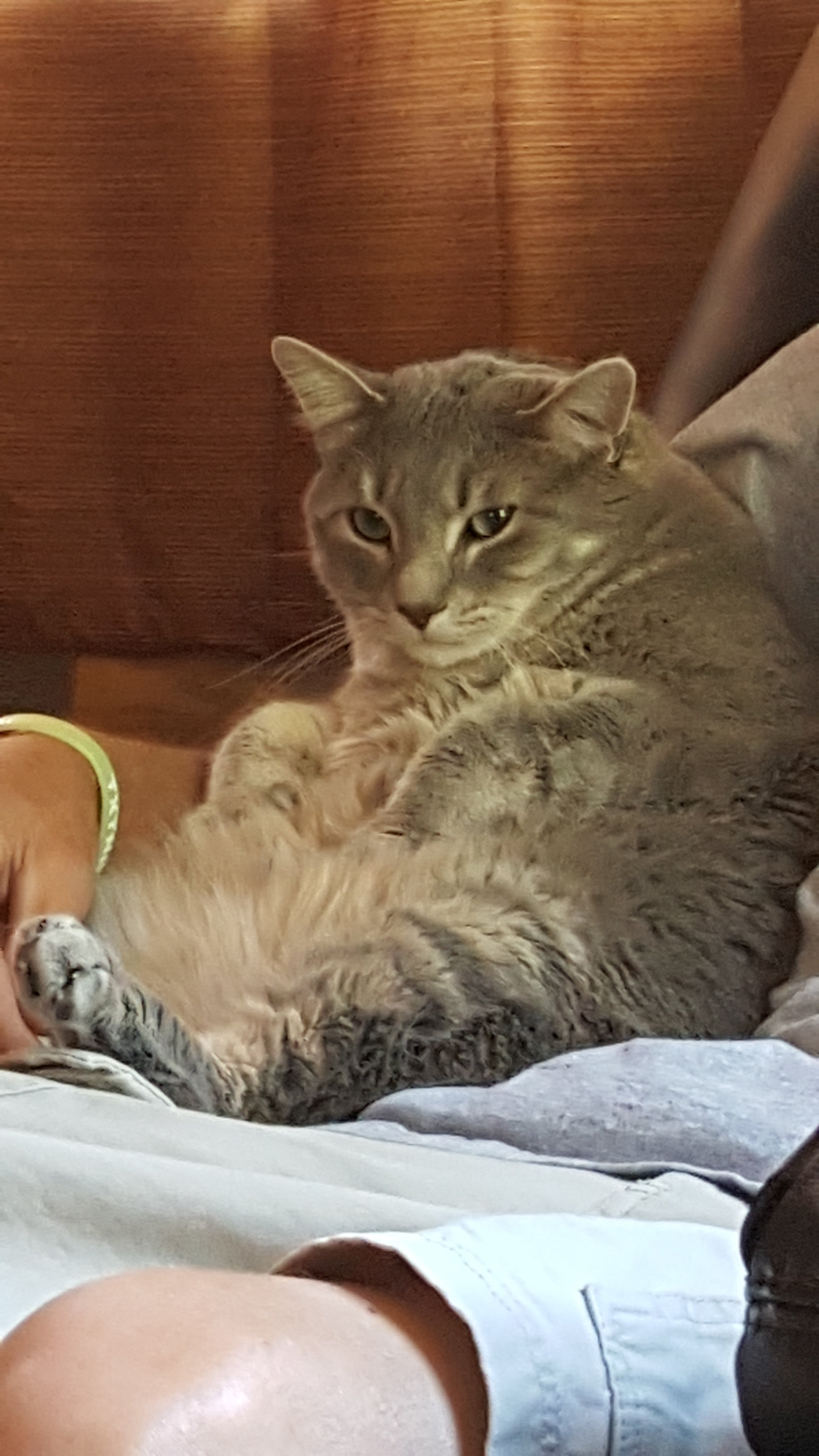 20160627_183743.jpg