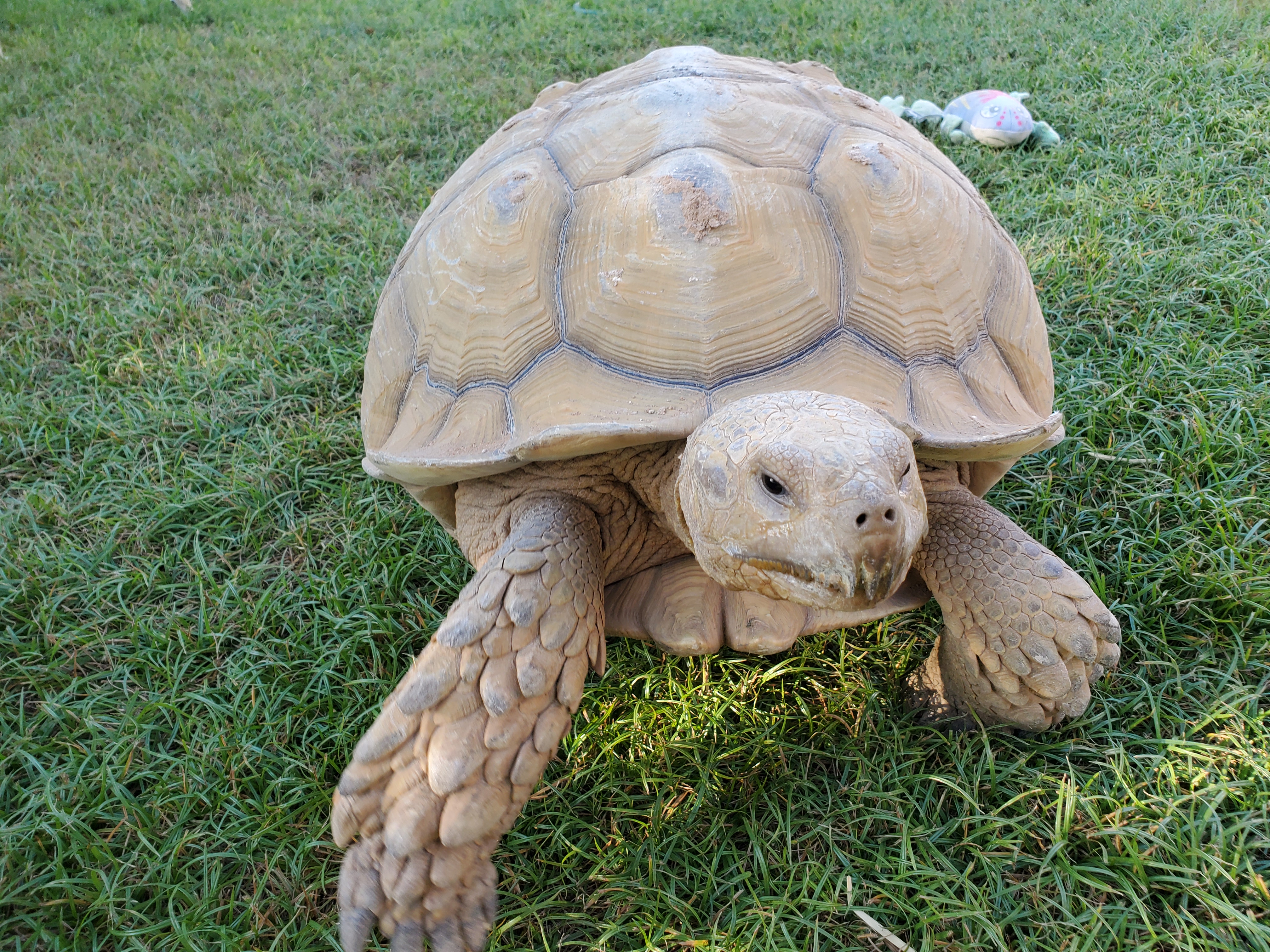 20190903_171859[1].jpg
