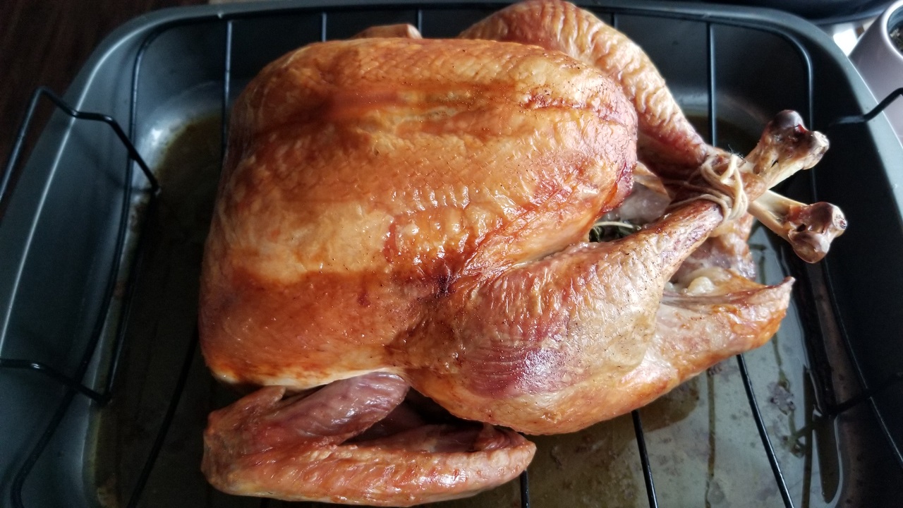 20191128_123139.jpg