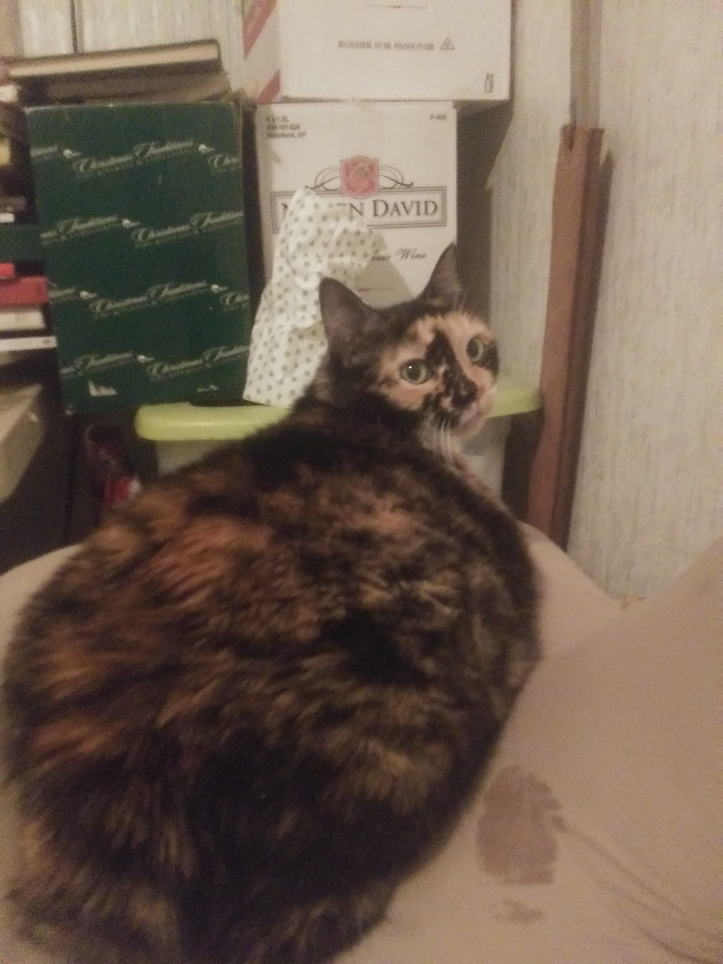 20191130_175316.jpg