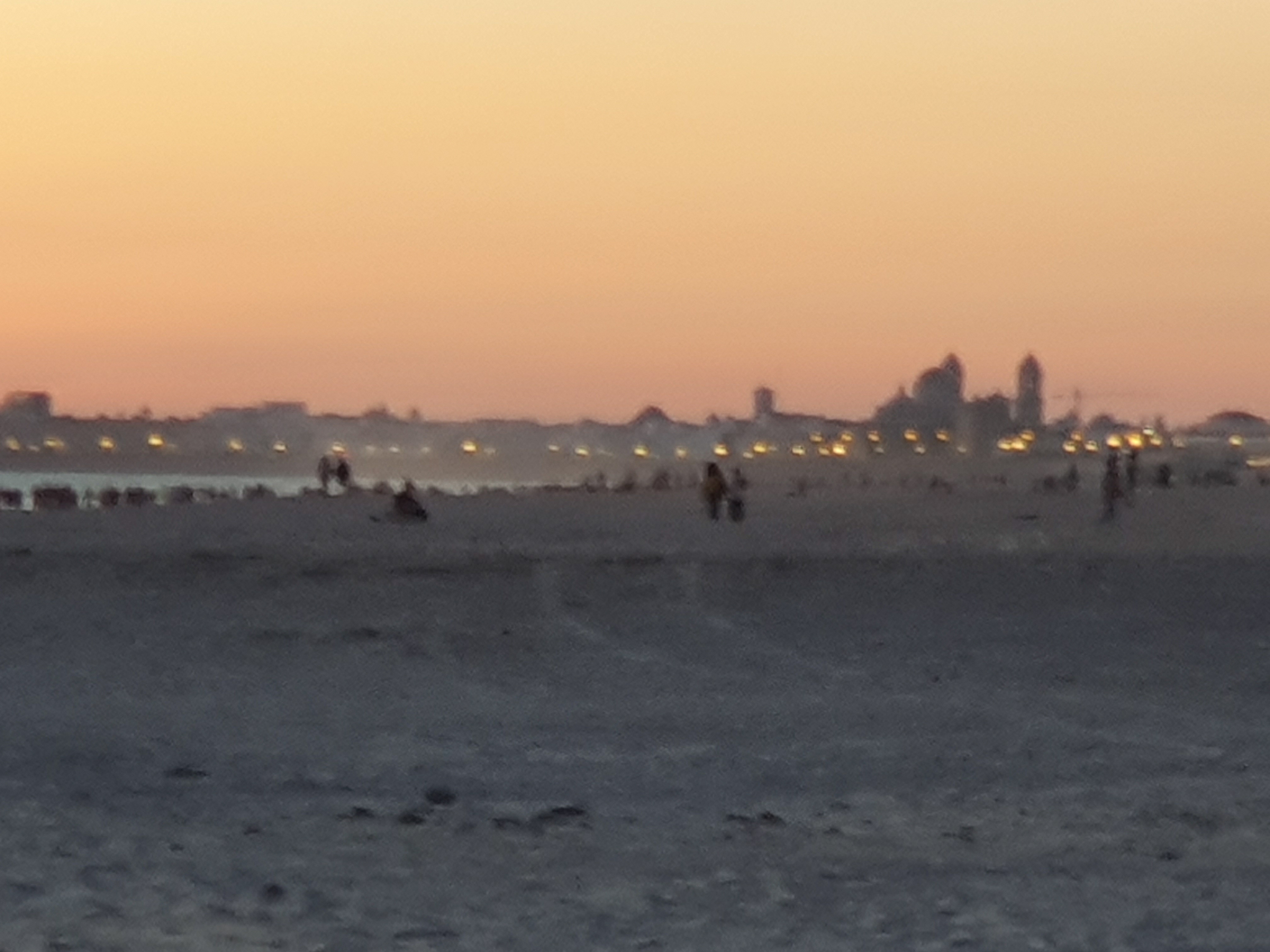 20200502_212441.jpg