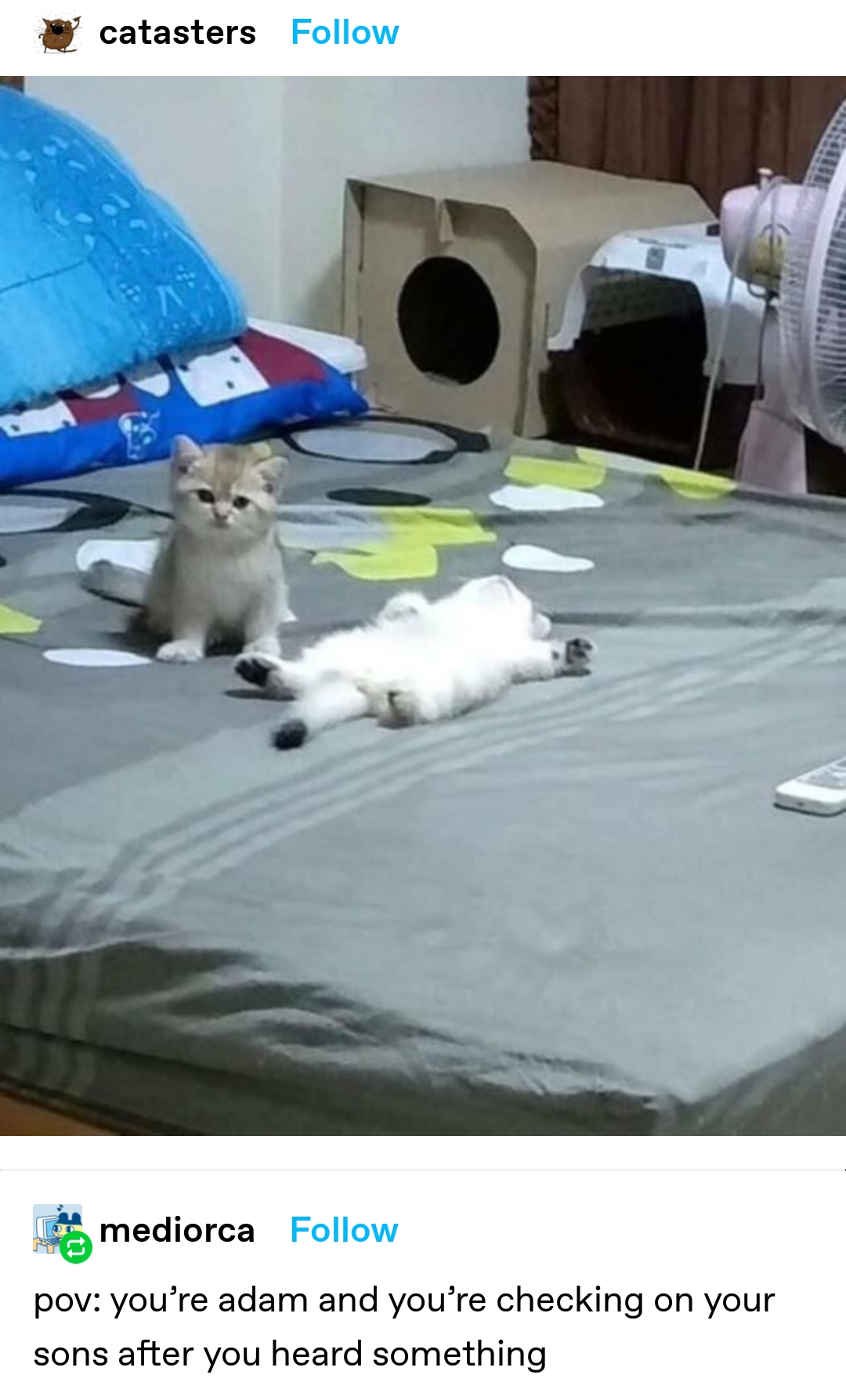 20200923_164527.jpg