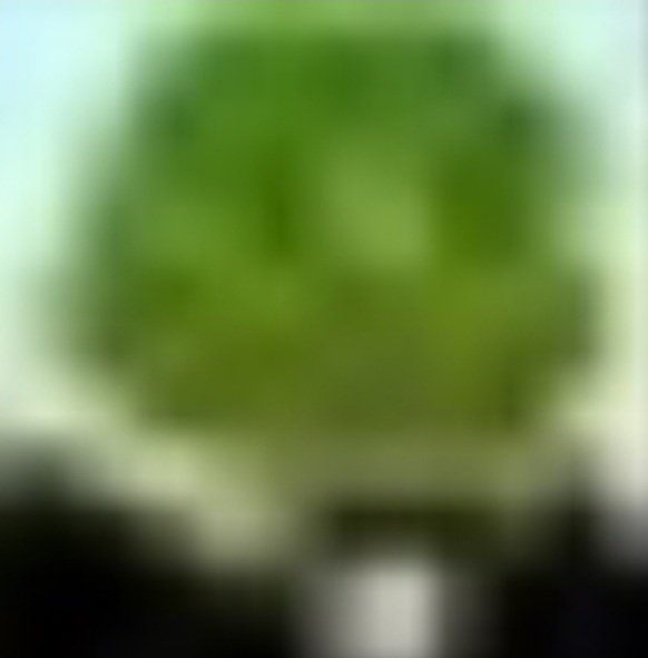 20210409_002638.jpg