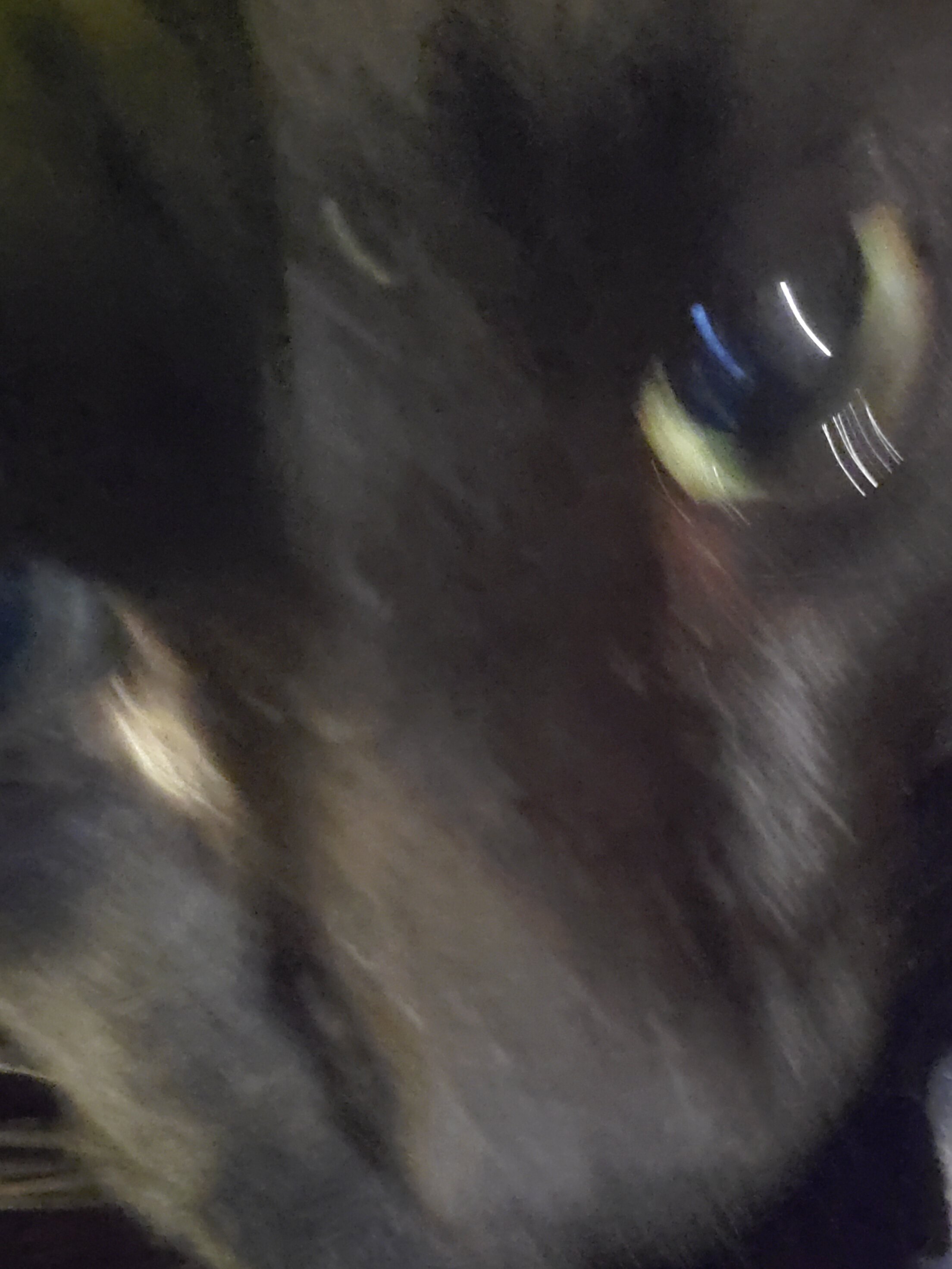 20220209_233123.jpg