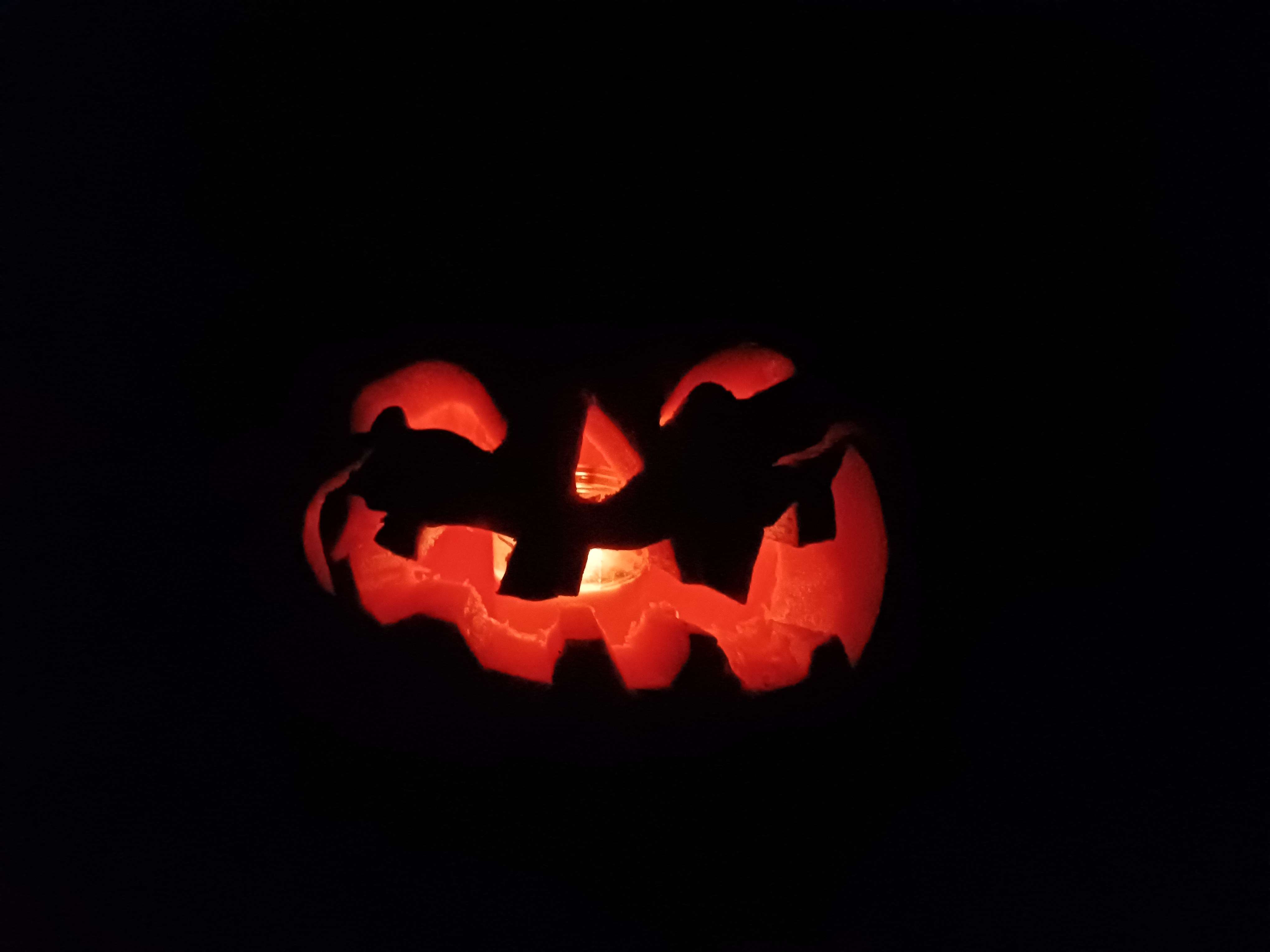 20221031_173716.jpg