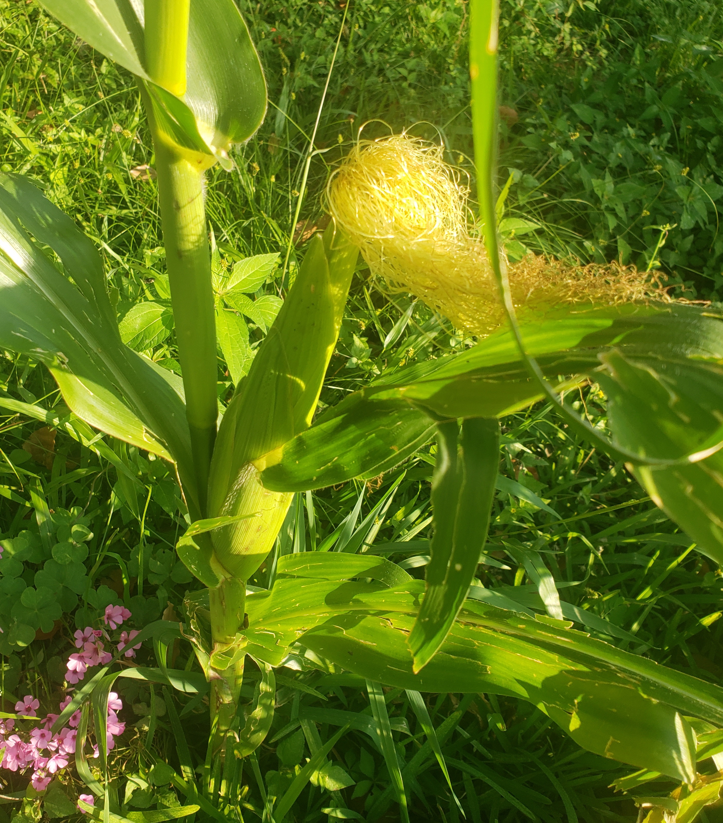 20230526_203034.jpg