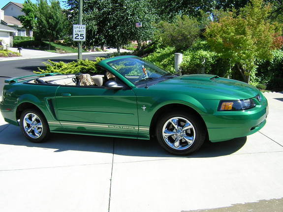 21694960001_large.jpg