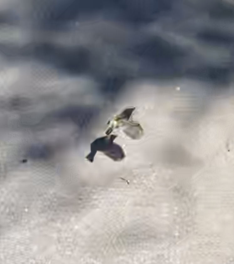 2258F732-6121-4F88-96F2-A7C9C0302576.jpeg