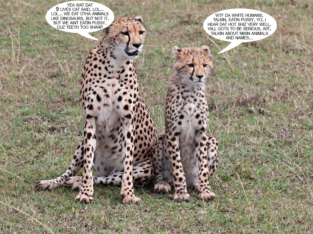 2_by_pddevianart-d95kblh.jpg
