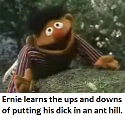 356.jpg