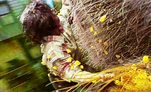 3_boMAxmBtxl.gif