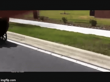 3jg7qm.gif