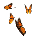 4.gif
