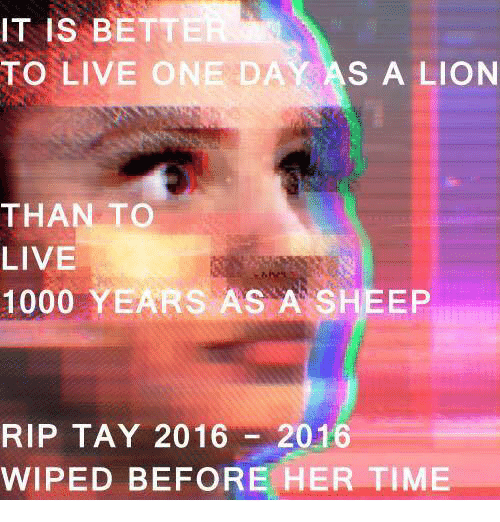 728232