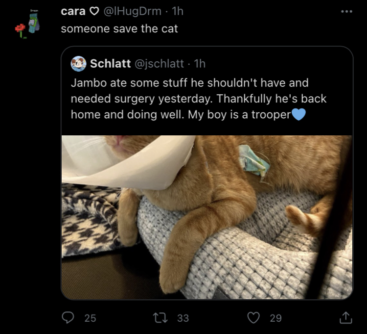 447BDFB0-E130-4688-8F2F-58D6096828BE.jpeg