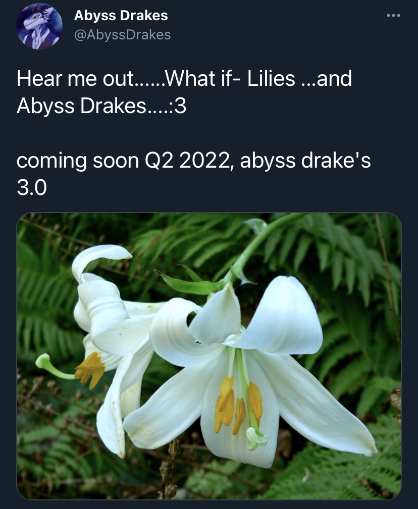 4FB51D66-D26D-43B2-BD4E-7164D9C40234.jpeg