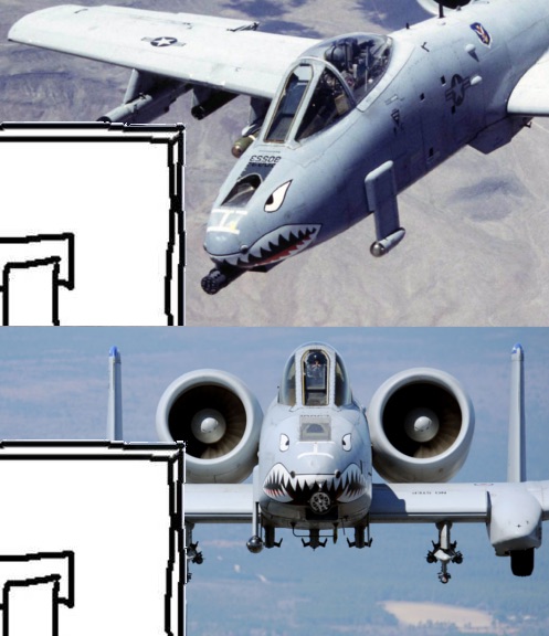 516951961851.jpg