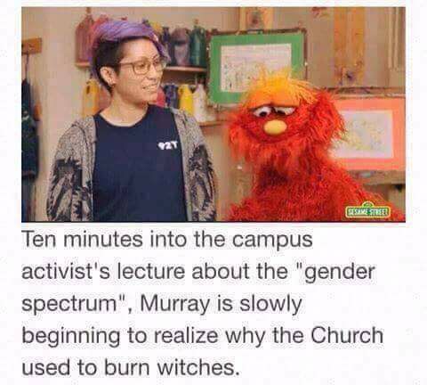 573.jpg