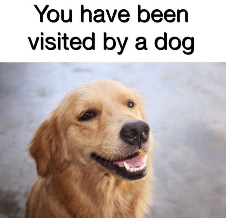 732718