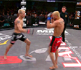 6c8cf3eebce02a81e75abdb6d20c278a.gif