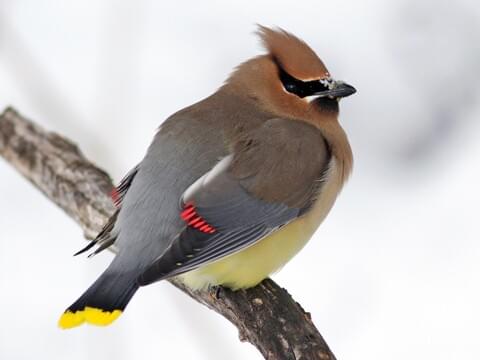 7035A949-06F9-4059-9AE4-05707B75C80F.jpeg