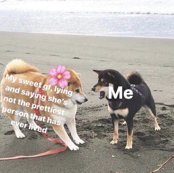 732719