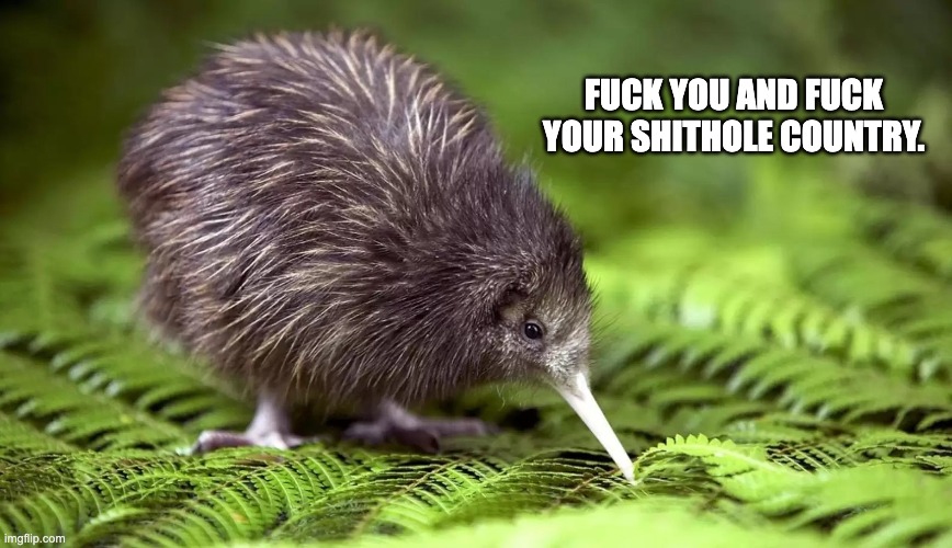 8ox4vk.jpg