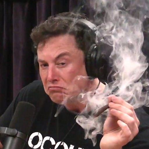 _103330503_musk3.jpg